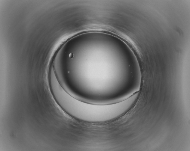 X0000112481472200908241244