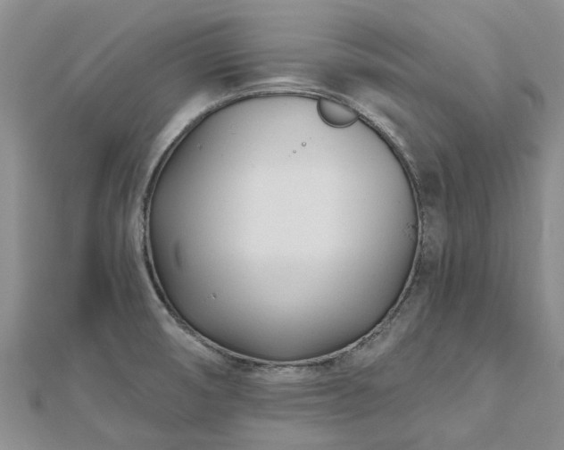 X0000112481474200908241243