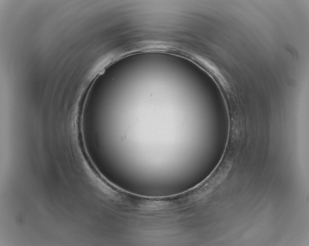 X0000112481475200908241243