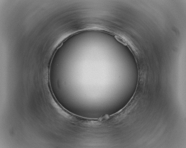 X0000112481476200908241243