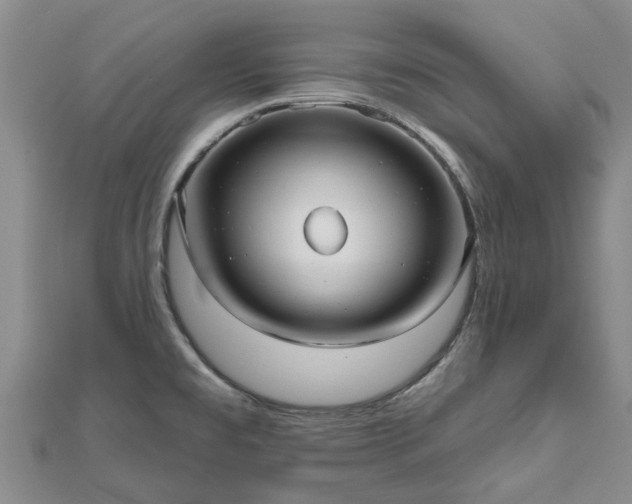 X0000112481477200908241243