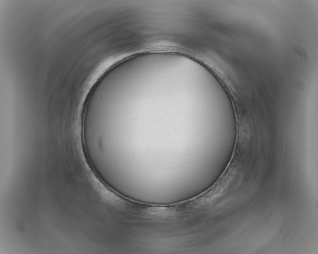 X0000112481478200908241243