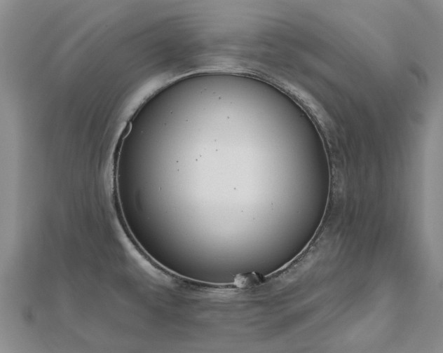 X0000112481479200908241243