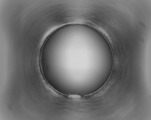 X0000112481480200908241243