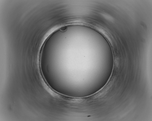 X0000112481482200908241243
