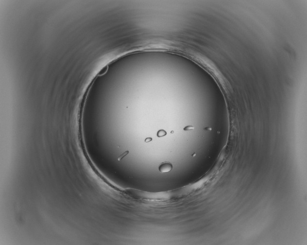 X0000112481483200908241243