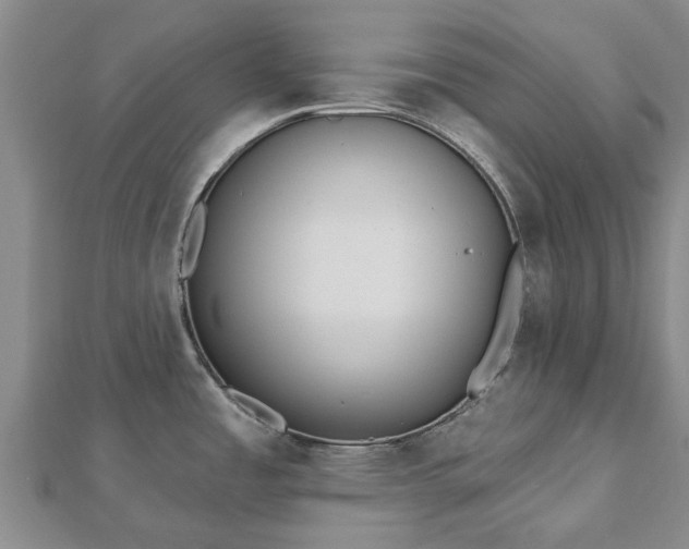 X0000112481485200908241243