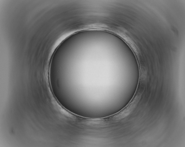 X0000112481486200908241243