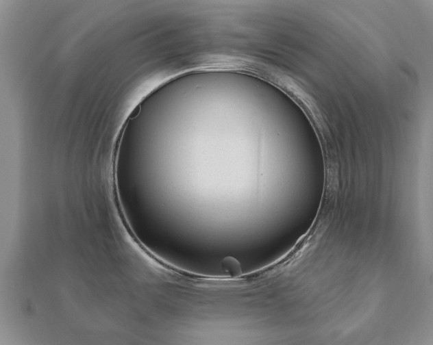 X0000112481487200908241243