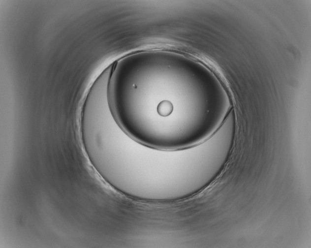X0000112481488200908241243