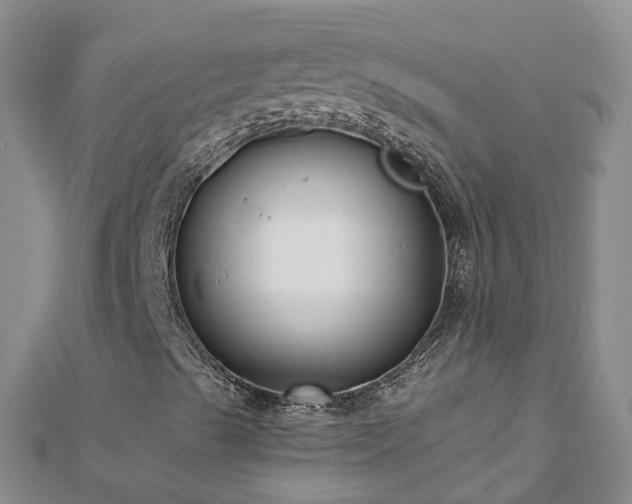X0000112481489200908241243