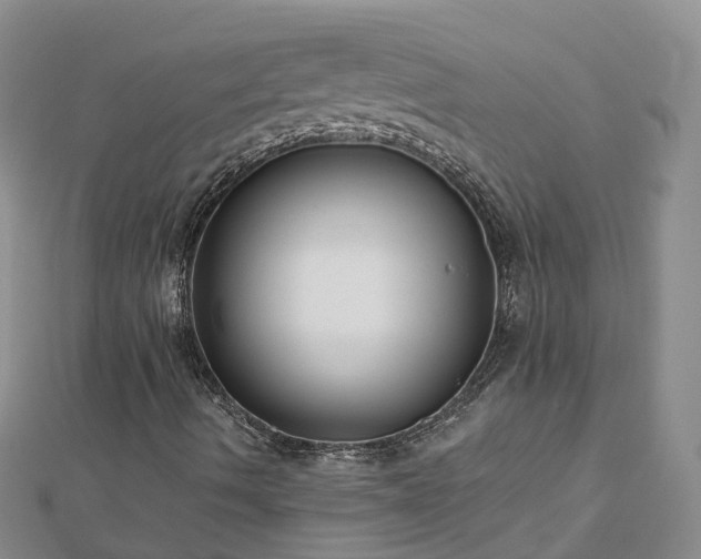 X0000112481490200908241243