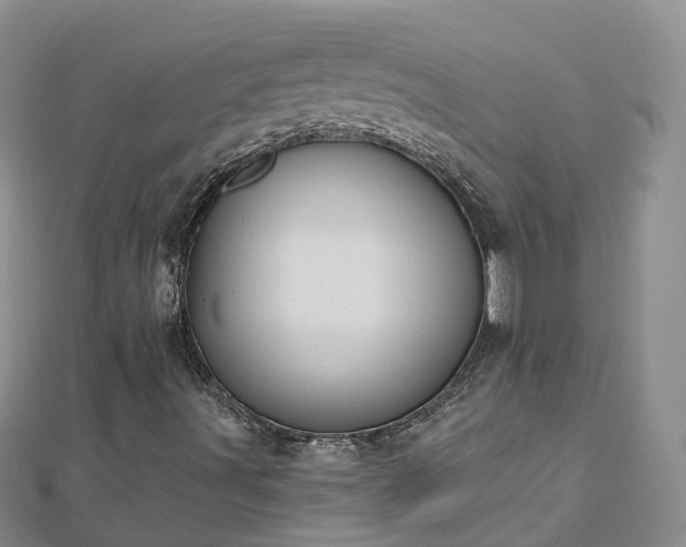 X0000112481491200908241243