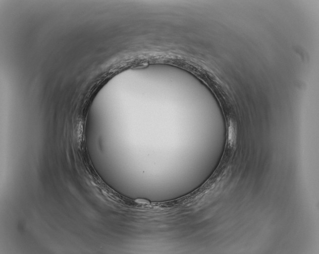 X0000112481492200908241243