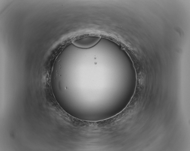 X0000112481495200908241243