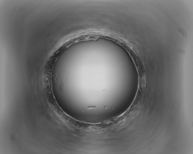 X0000112481496200908241243