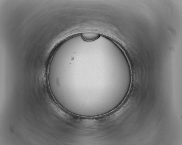 X0000112481498200908241243