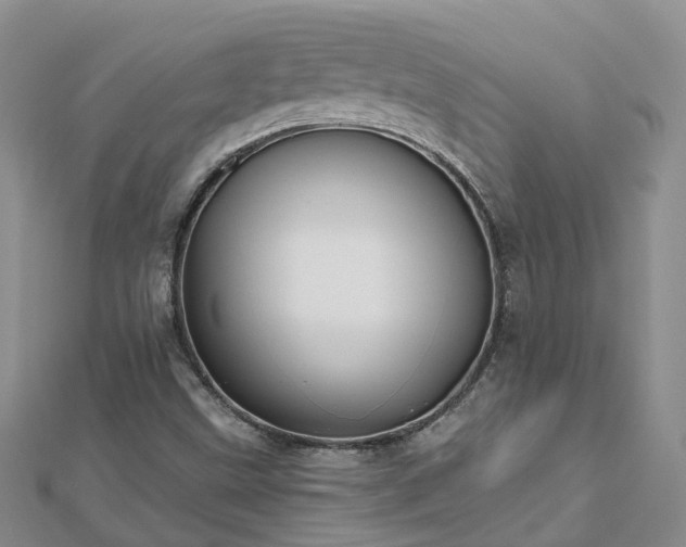 X0000112481499200908241243