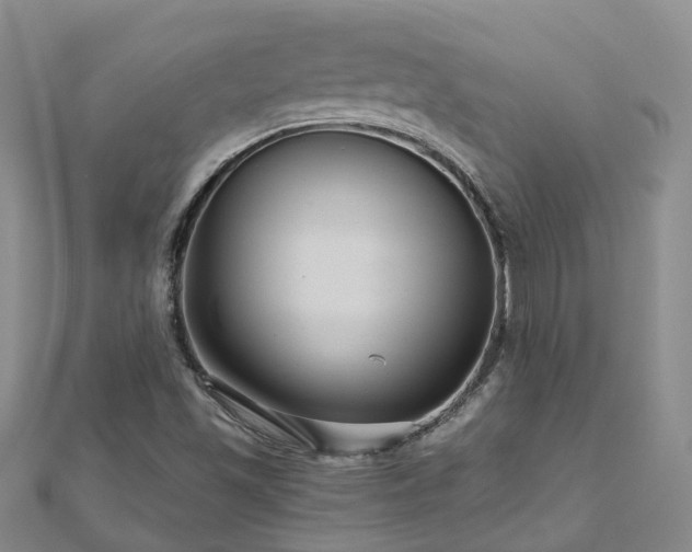 X0000112481501200908241243