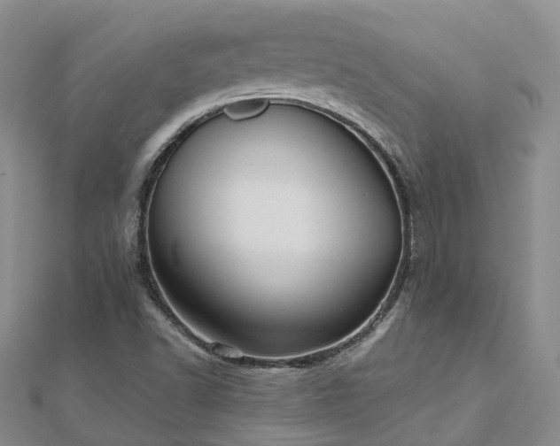 X0000112481502200908241243