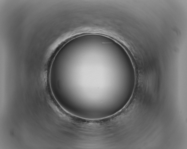X0000112481503200908241243