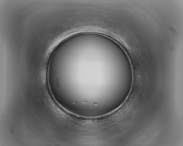 X0000112481504200908241243