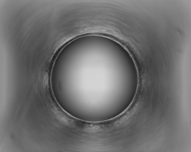X0000112481505200908241243