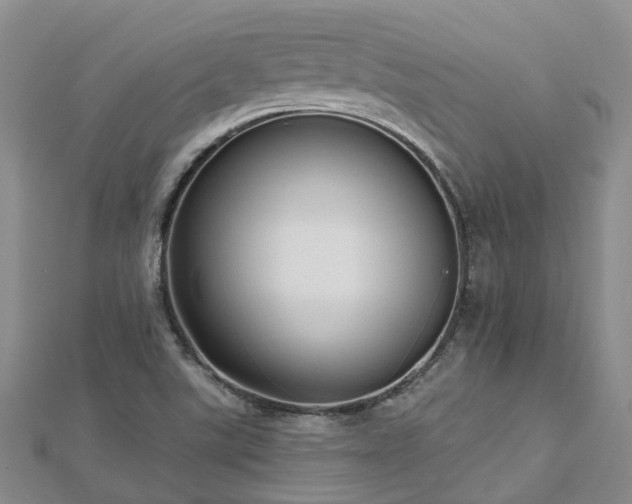 X0000112481507200908241243