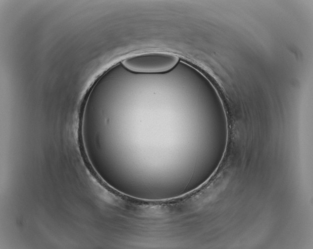 X0000112481508200908241243