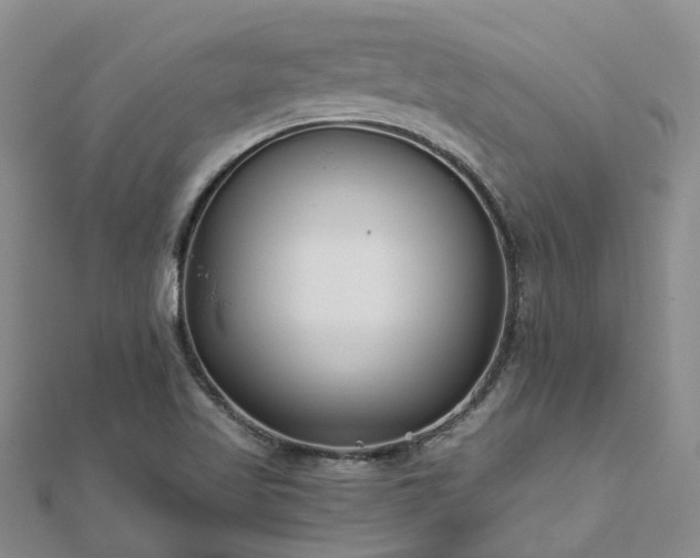 X0000112481509200908241243