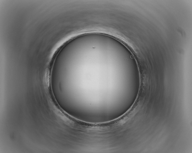 X0000112481510200908241243