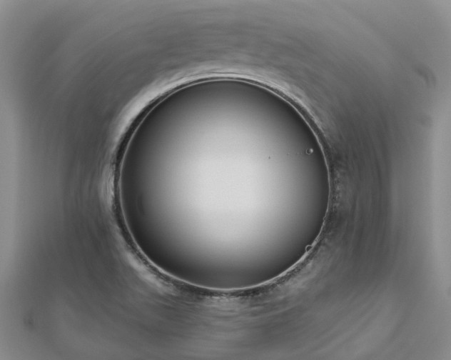 X0000112481511200908241243