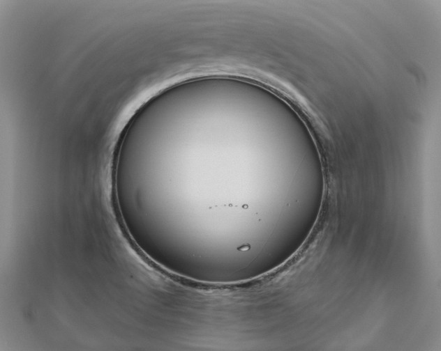 X0000112481512200908241243