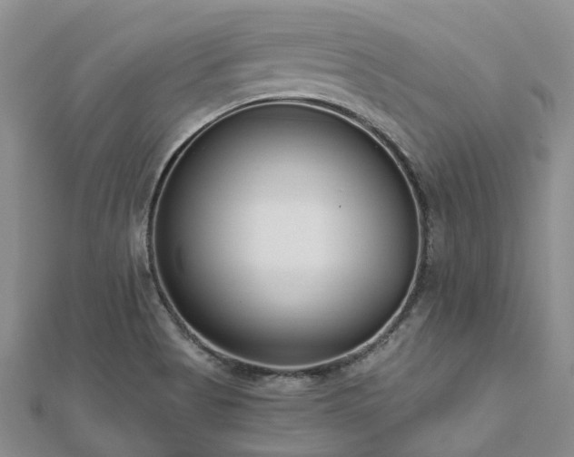 X0000112481513200908241243