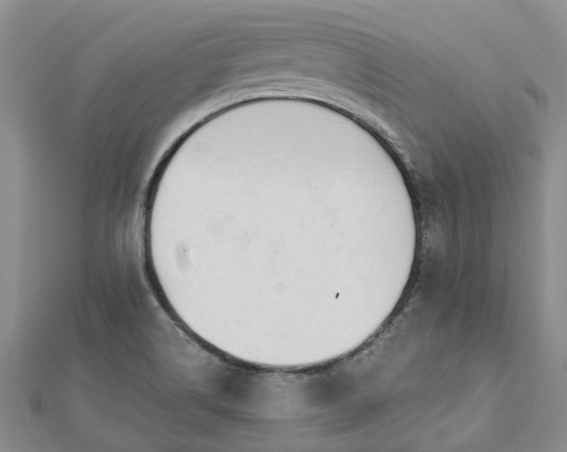 X0000112481514200908241243