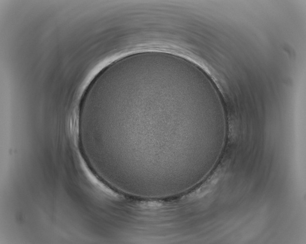 X0000112481515200908241243