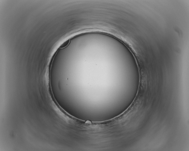 X0000112481516200908241243