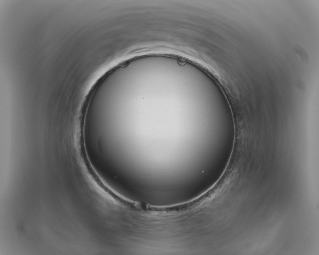 X0000112481518200908241243
