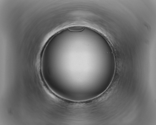 X0000112481519200908241243