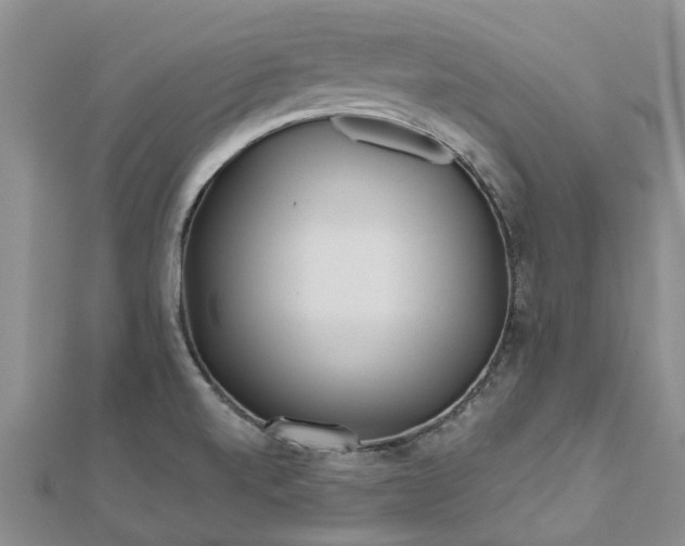X0000112481520200908241243