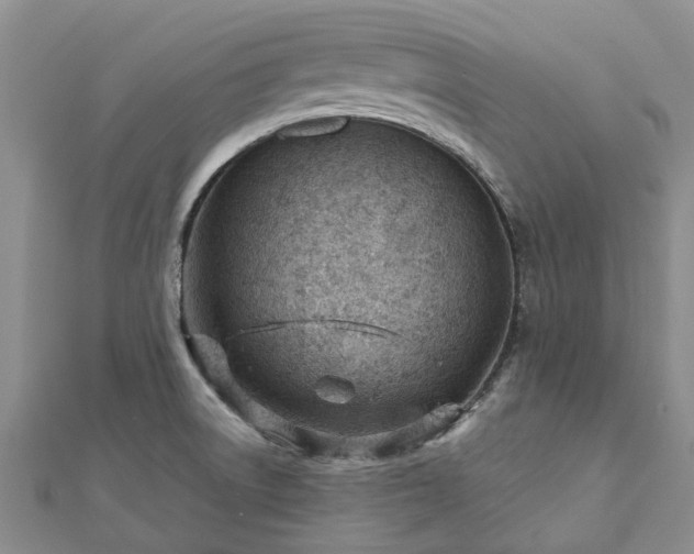 X0000112481522200908241243