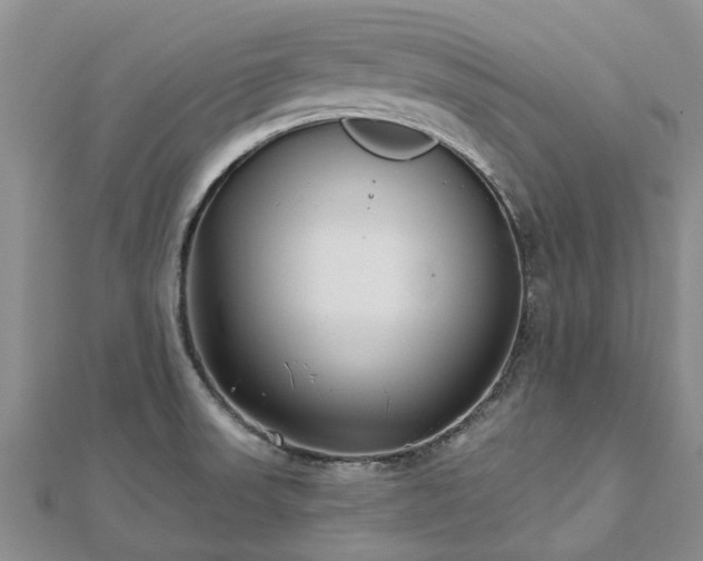 X0000112481523200908241243