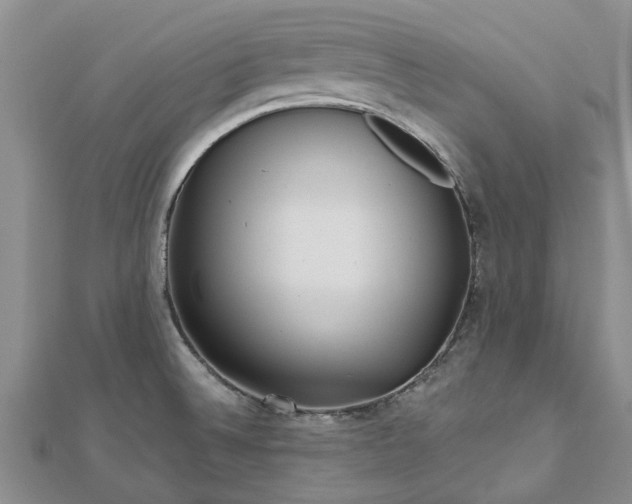 X0000112481524200908241243