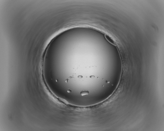 X0000112481526200908241243
