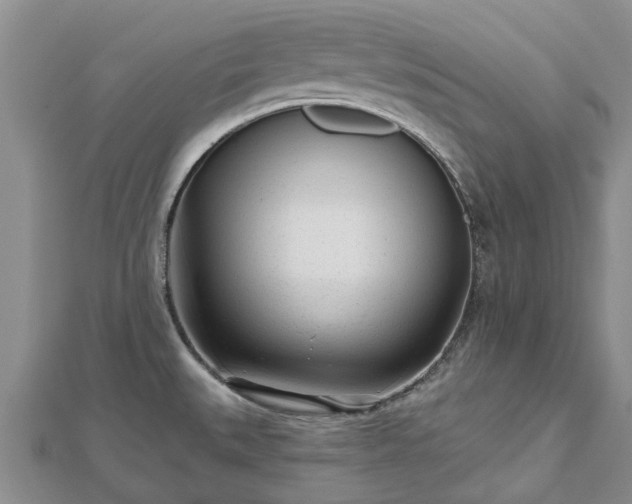 X0000112481527200908241243