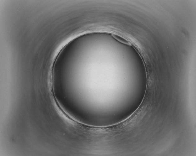 X0000112481528200908241243