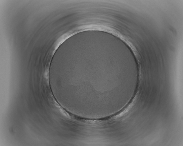 X0000112481529200908241243