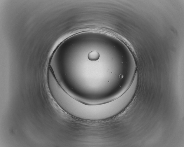 X0000112481530200908241243