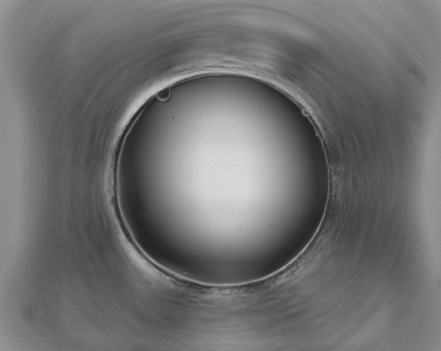 X0000112481531200908241243