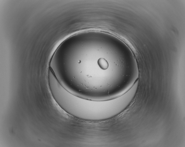 X0000112481532200908241243
